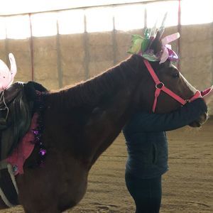 Meet your Posher, Tami